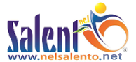 Logo Nelsalento.com